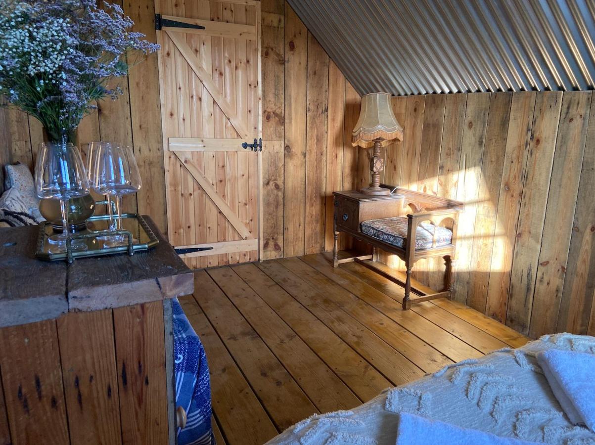 Fen Meadows Glamping - Luxury Cabins And Bell Tents ケンブリッジ エクステリア 写真
