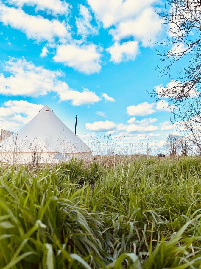 Fen Meadows Glamping - Luxury Cabins And Bell Tents ケンブリッジ エクステリア 写真