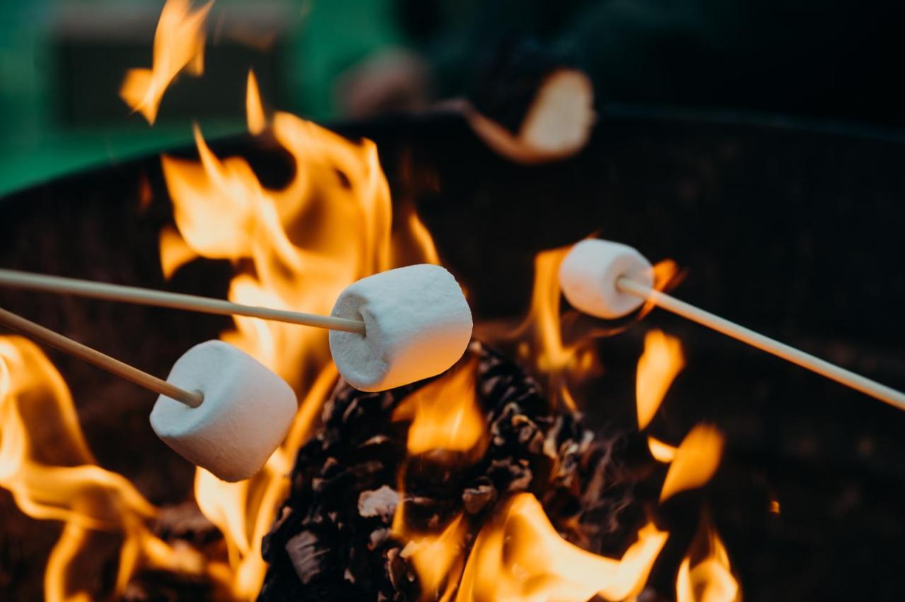 Fen Meadows Glamping - Luxury Cabins And Bell Tents ケンブリッジ エクステリア 写真
